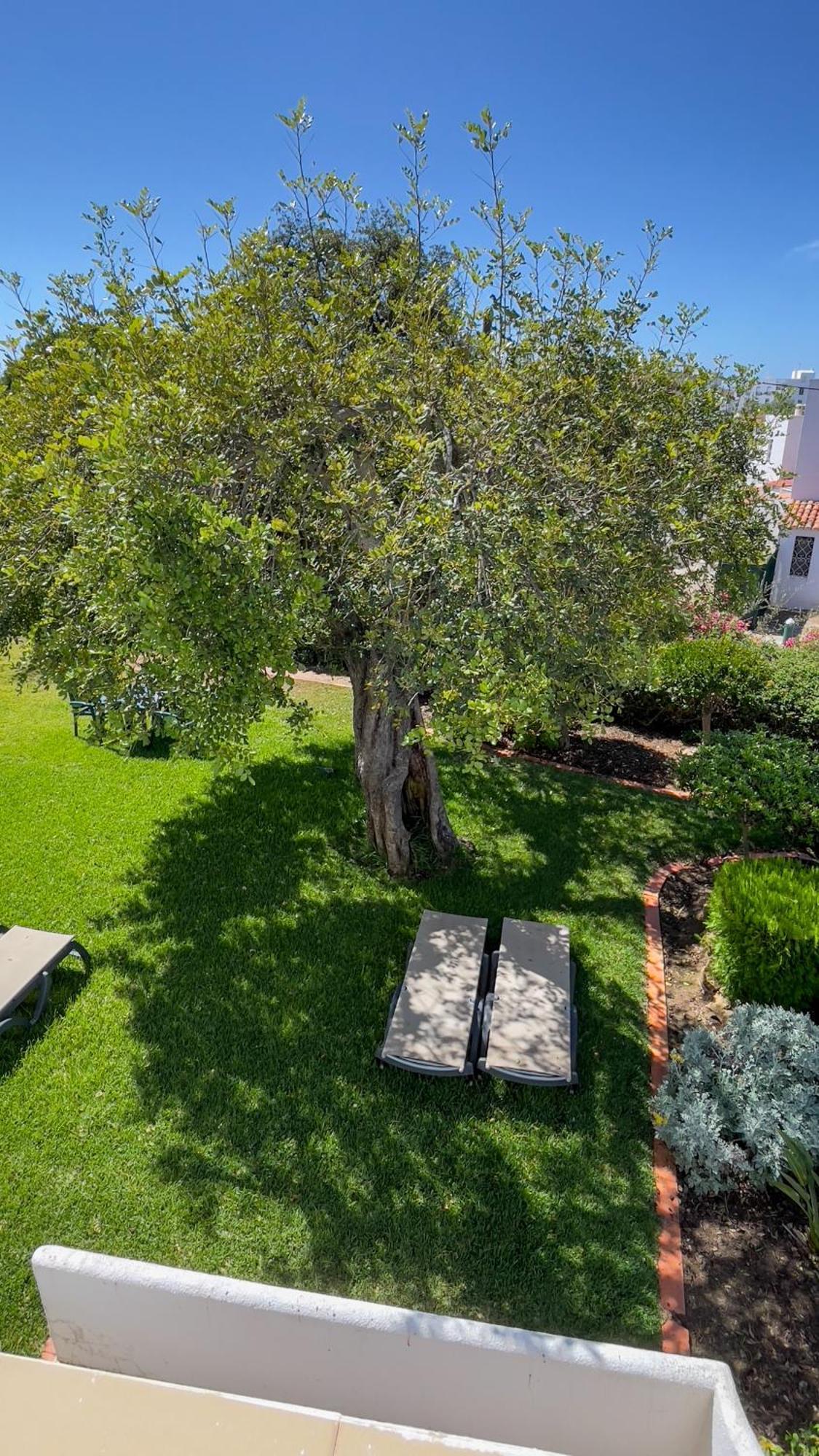 Verde Pino Vilamoura Ngoại thất bức ảnh